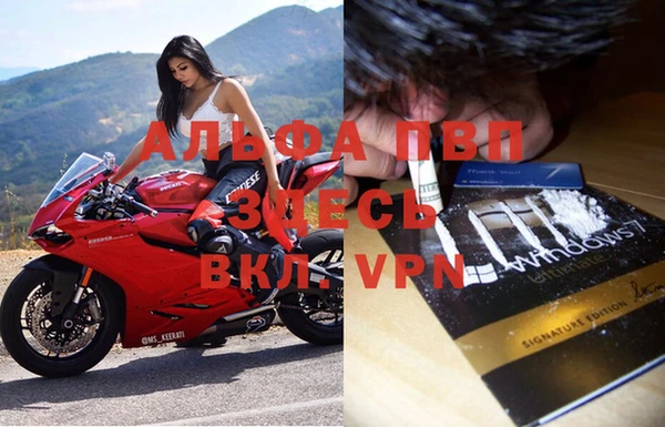 эйфоретик Нефтегорск