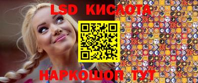дмт Донской
