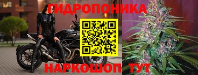 первитин Дубна