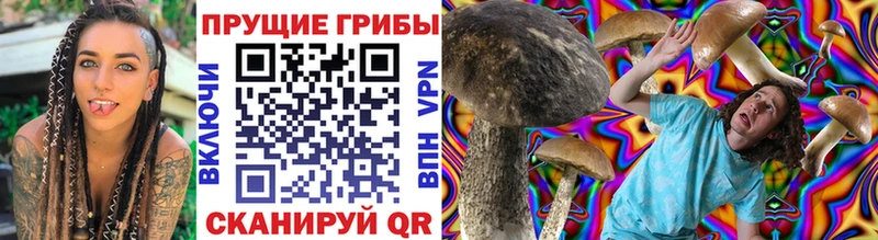 нарко площадка телеграм  Чебоксары  Галлюциногенные грибы Psilocybine cubensis  мега как войти 