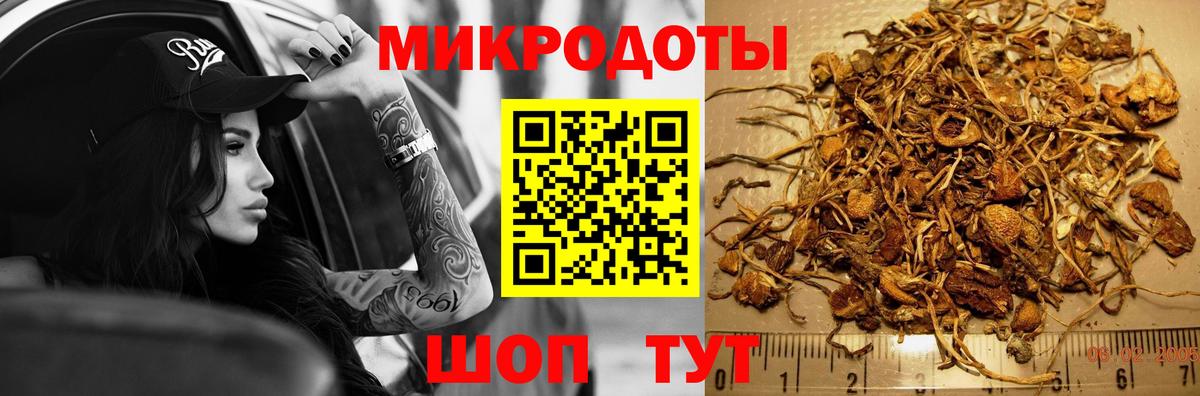 Галлюциногенные грибы Psilocybine cubensis Чебоксары