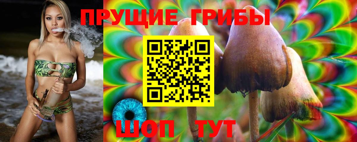 Псилоцибиновые грибы MAGIC MUSHROOMS  Чебоксары 